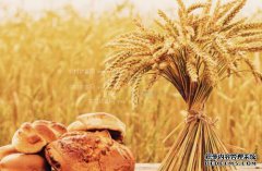 小麦价格没有进一步的动力。