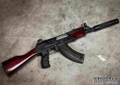 改变世界的五支步枪：AK 47在名单上，最后一支被