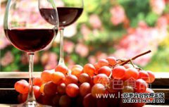 没有喝红酒，你可以吃什么样的水果？最好避免