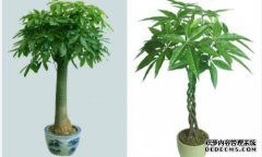 风水旋转，到2019年，你的房子里正在沉没财富，