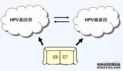改善阴茎癌中pN2分期的预后意义