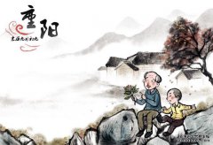 [对不起，我是护士]