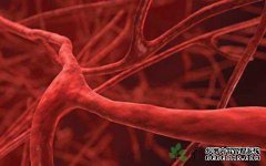 如何进行颈部受压引起的脑血管痉挛