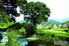 [南天狗]西安X村法文化广场展览