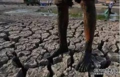 如何从迷你世界中获取干燥土壤