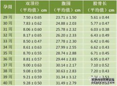 [上双倍直径和股骨长度表]股骨长和标准上双倍直
