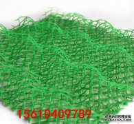 当阳阁塔，球竹嵌入梦境