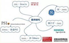 什么是肺，该术语的定义是什么？