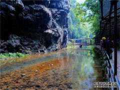 中国最大的原始生态洞穴靖西古龙山大峡谷