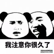 skr和skr是什么意思？