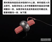 宁夏区域重力研究与磁数据开发获国家科技成果