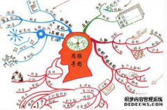 儿童整个大脑的智力发展。